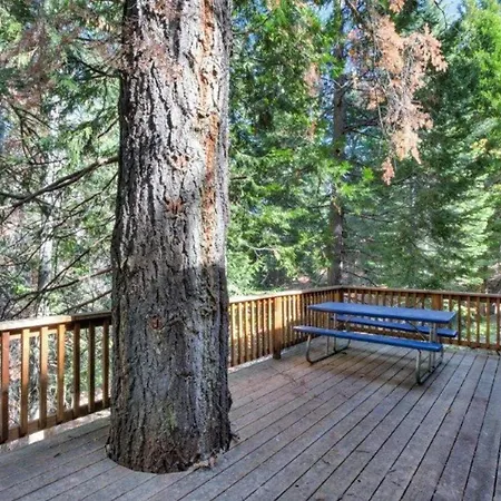Forest Glen Yosemite West Exterior photo