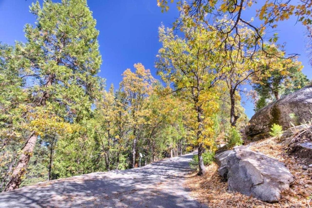 Forest Glen *